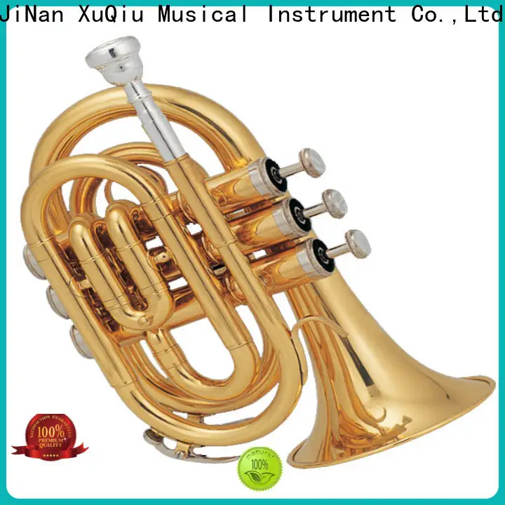 cool professional trumpet bach brands for student 1
