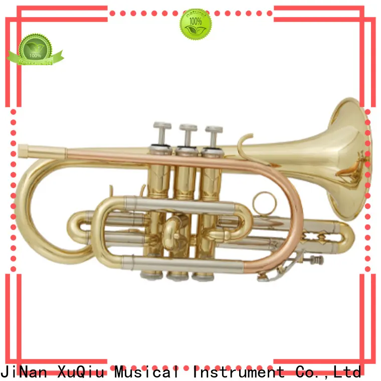professional trumpet solo xtr0041 for sale for student 1