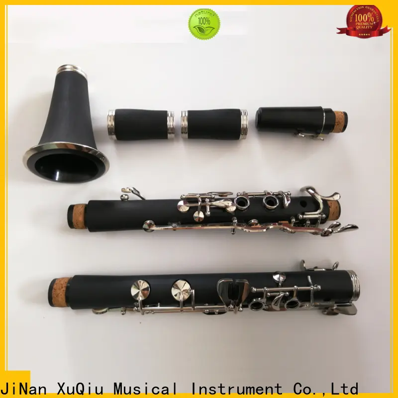 Wholesale armstrong clarinet xcl304at manufacturer for student 1