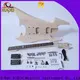 diy build own guitar kit string supplier for concert 1