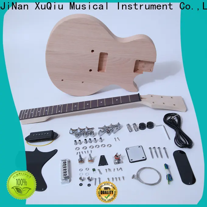 best custom guitar kits own for sale for beginner 1