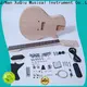 best custom guitar kits own for sale for beginner 1