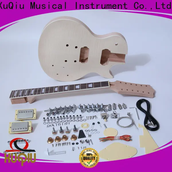 Wholesale best les paul guitar kit sngk018 manufacturer for performance 1