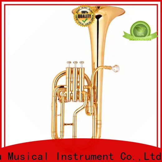XuQiu buy alto horn vs french horn manufacturers for beginner 1