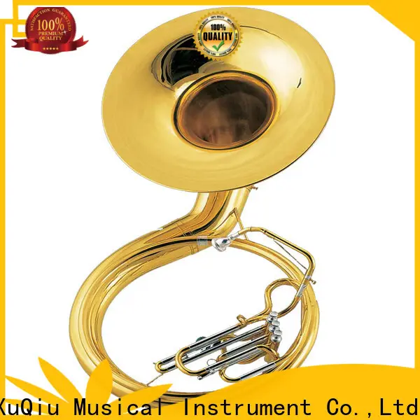 best sousaphone key xss001 for sale for children 1