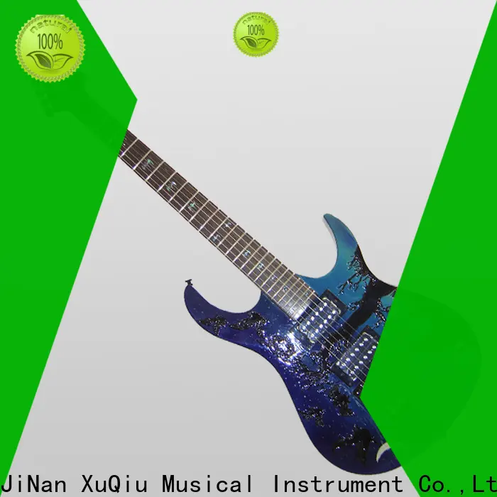 XuQiu sneg110 12 string acoustic electric guitar price for concert 1