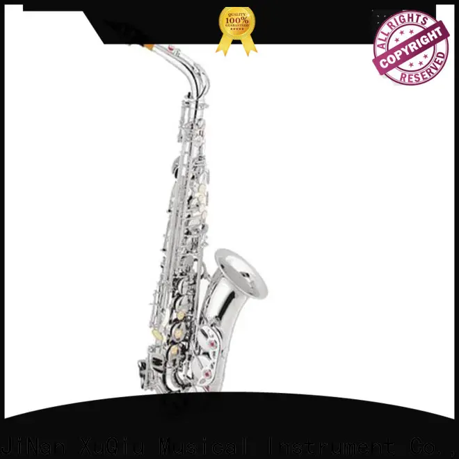 best buy alto saxophone xal1015 supplier for student 1
