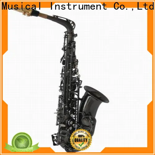 new best alto saxophone xal1013 supplier for student 1