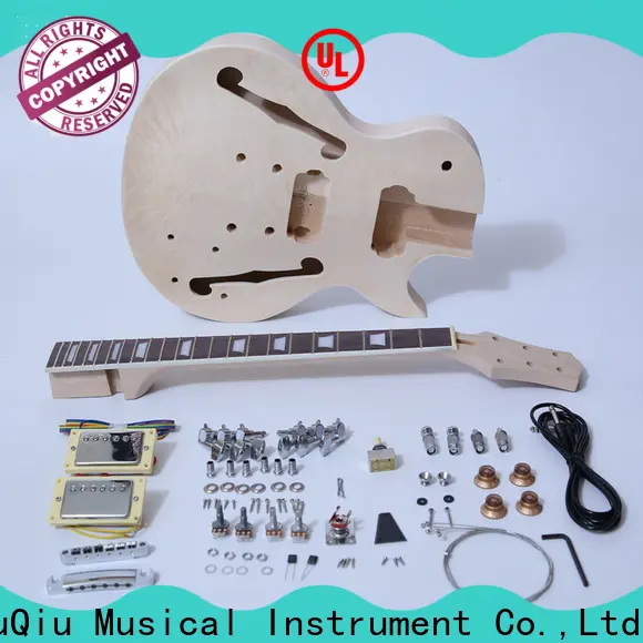 Wholesale best guitar kits sngk048 manufacturer for performance 1