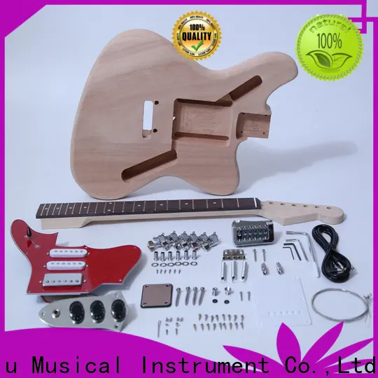 quality do it yourself guitar kits electric supplier for performance 1