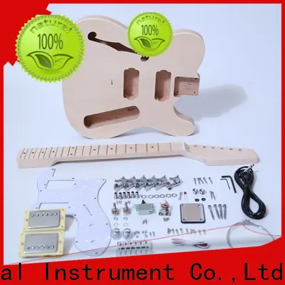 quality rickenbacker style guitar kit handed supplier for beginner 1