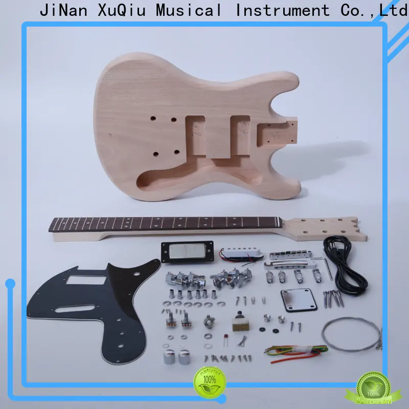 quality diy les paul guitar kit sngk014 supplier for performance 1