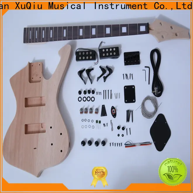 custom rickenbacker bass diy kit hollow manufacturer for student 1