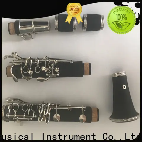 best piccolo clarinet xcl109 for sale for kids 1