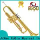 XuQiu flugelhorn plastic trumpet manufacturer for kids 1