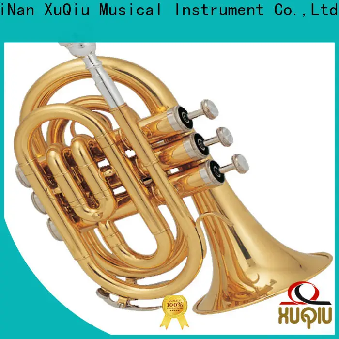 professional trumpet design student manufacturer for beginner 1