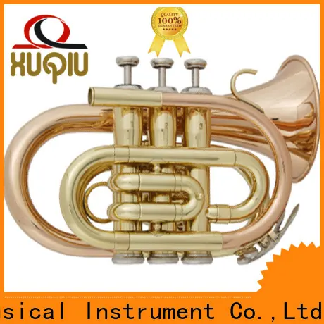 professional b flat trumpet flat design for kids 1
