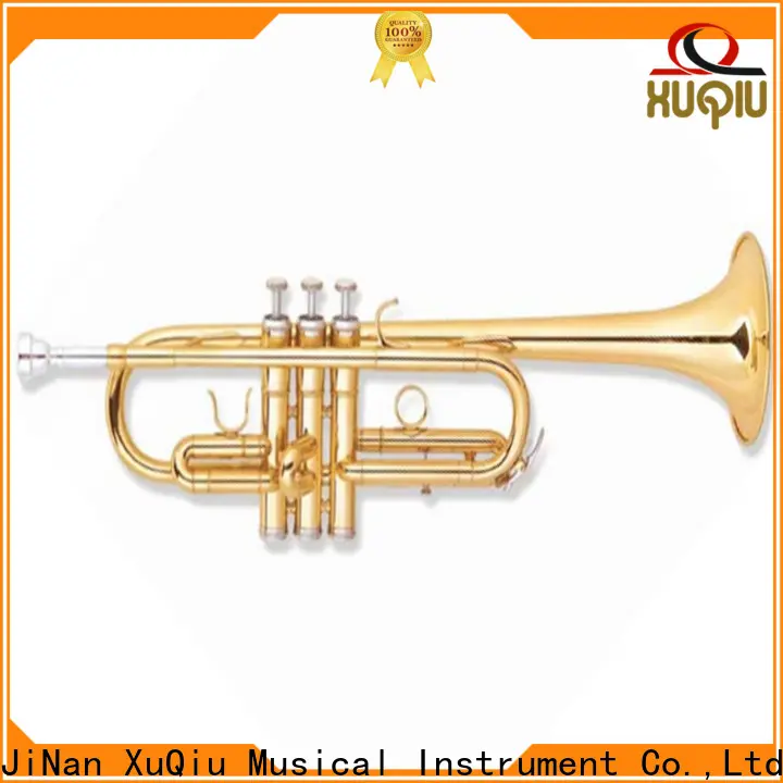 top best professional trumpet brands cornet price for beginner 1