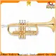 top best professional trumpet brands cornet price for beginner 1