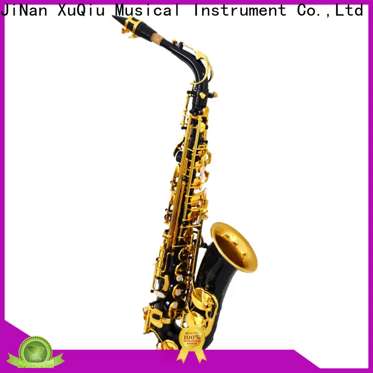 Wholesale best professional alto saxophone xal1015 manufacturer for beginner 1