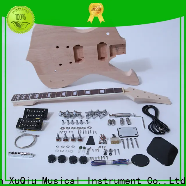 best electric guitar kit sngk021 supplier for kids 1