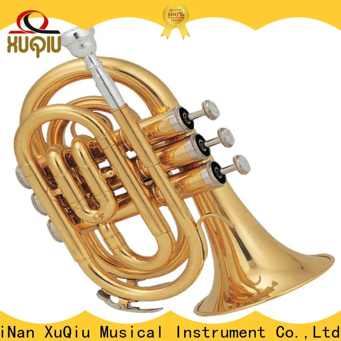 XuQiu xtr001g bass trumpet for sale for kids 1