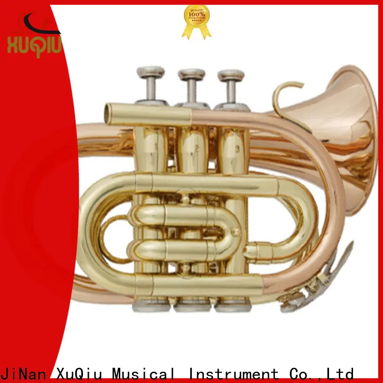 XuQiu xtr0021 beginner trumpet for sale design for beginner 1