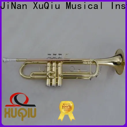 top trumpet solo cornet price for student 1