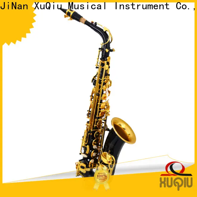 professional gold alto saxophone xal1800 supplier for beginner 1