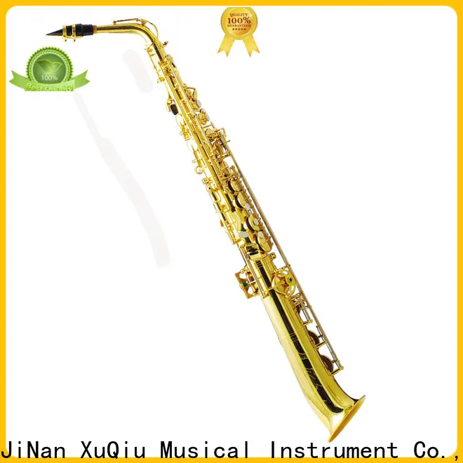 best vintage alto saxophone xal1005 manufacturer for beginner 1