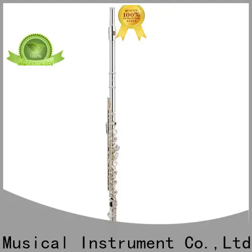 best learn flute xfl101 online for concert 1