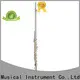 best learn flute xfl101 online for concert 1