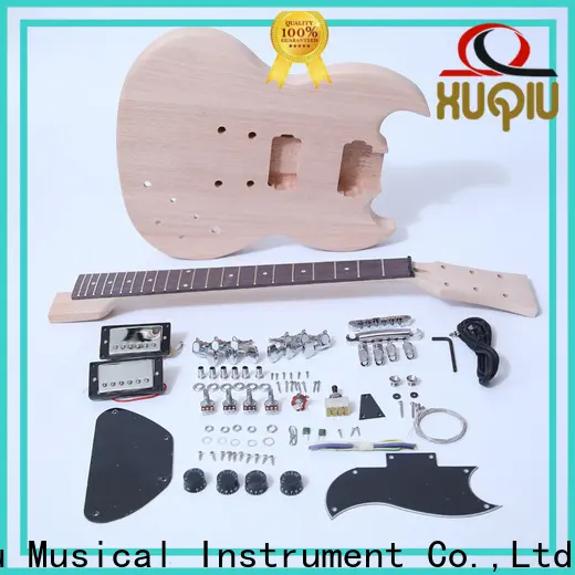 best build own guitar kit kits manufacturer for beginner 1