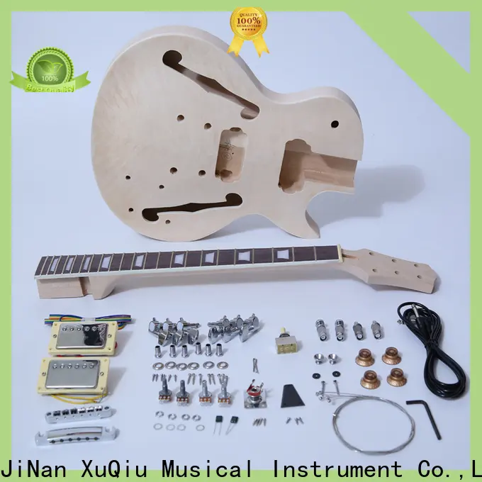 premium acoustic guitar kit kitspainting for sale for kids 1