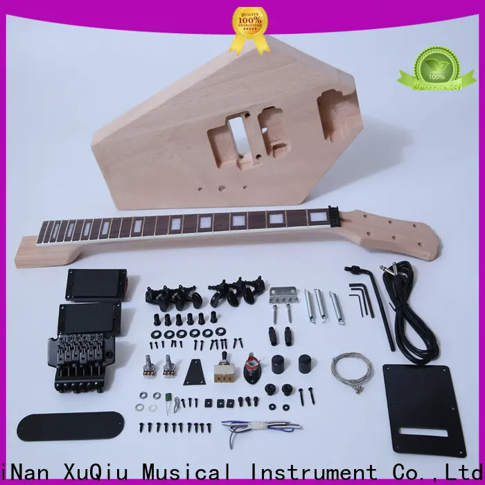 diy best guitar kits to build your manufacturer for beginner 1