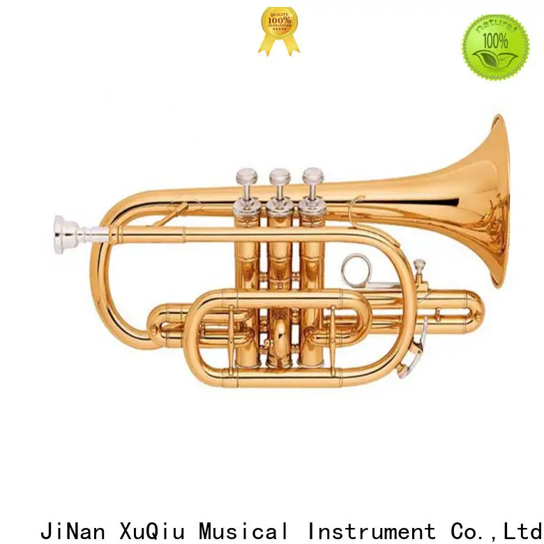 professional clarinet trumpet xtr062 price for concert 1