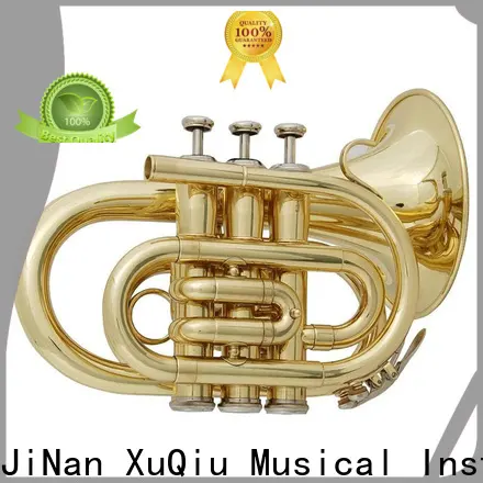 XuQiu best trumpet design price for beginner 1