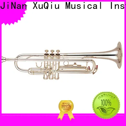 best best professional trumpet brands flugelhorn brands for kids 1