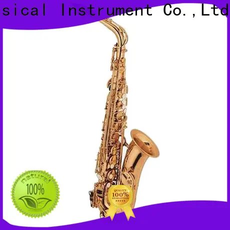 Wholesale professional alto saxophone for sale xal1013 supplier for beginner 1