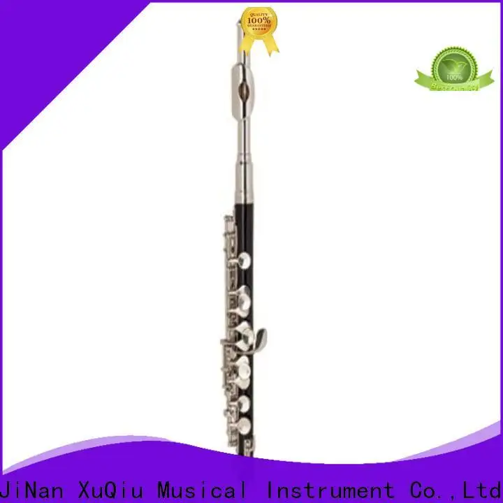 Wholesale piccolo instrument for sale xpc101 for sale for children 1