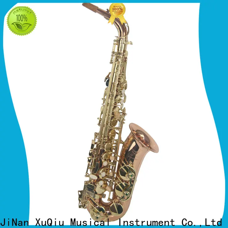 custom saxophone xalc200 for sale for concert 1