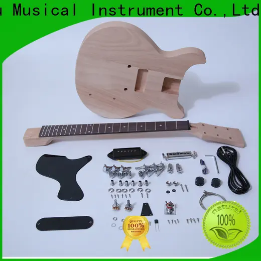 latest bargain musician guitar kit reviews sngk010 company for performance 1