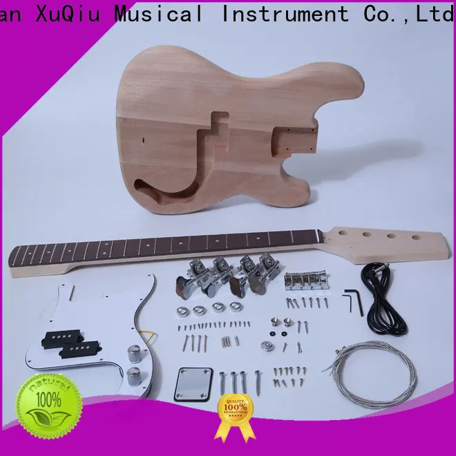 electric electric upright bass kit snbk008 company for beginner 1