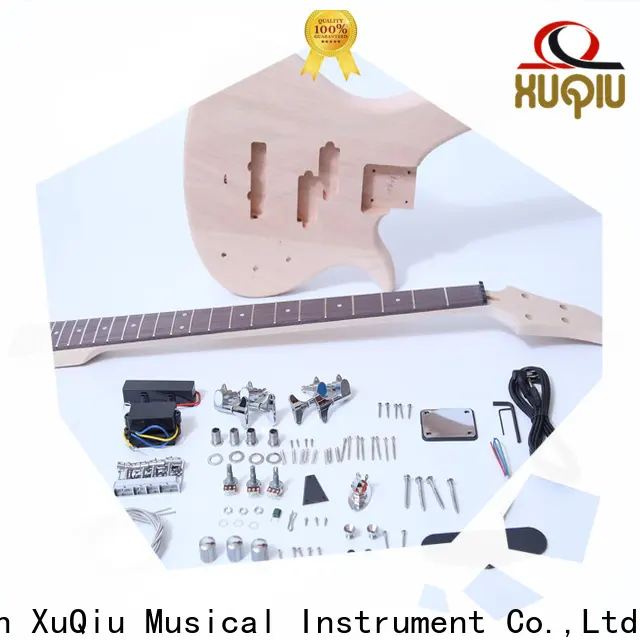 top fender bass kit kitssemi for sale for beginner 1
