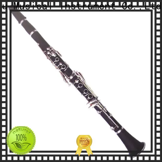 professional e flat clarinet beginners suppliers for student 1