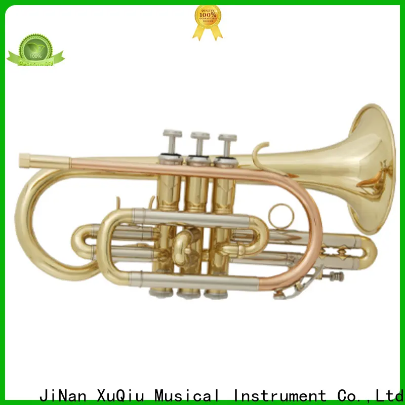 XuQiu big student trumpet design for beginner 1