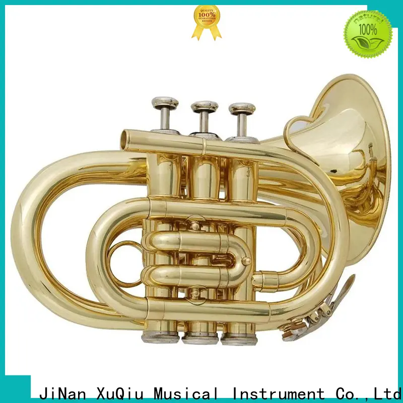 XuQiu xtr0041 kids trumpet company for beginner 1