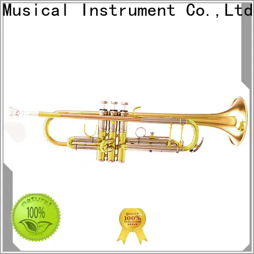 latest intermediate trumpet xtr004 brands for student 1