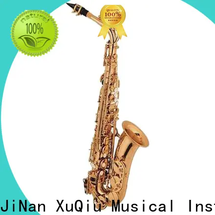 custom alto saxophone for sale saxophone supply for beginner 1