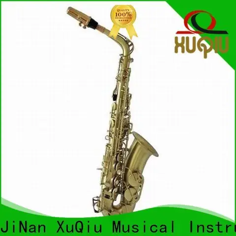 wholesale alto saxophone xal1005 brands for beginner 1